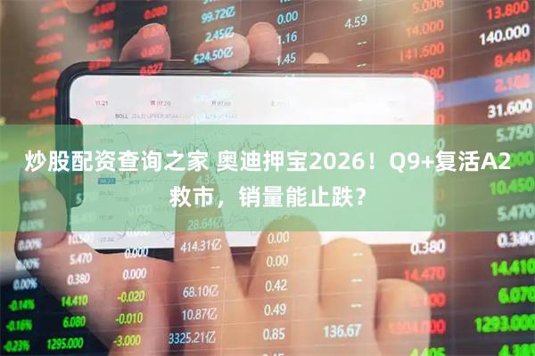 炒股配资查询之家 奥迪押宝2026！Q9+复活A2救市，销量能止跌？