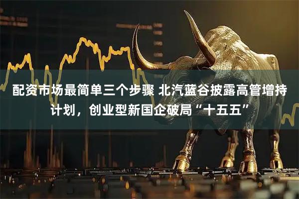 配资市场最简单三个步骤 北汽蓝谷披露高管增持计划，创业型新国企破局“十五五”