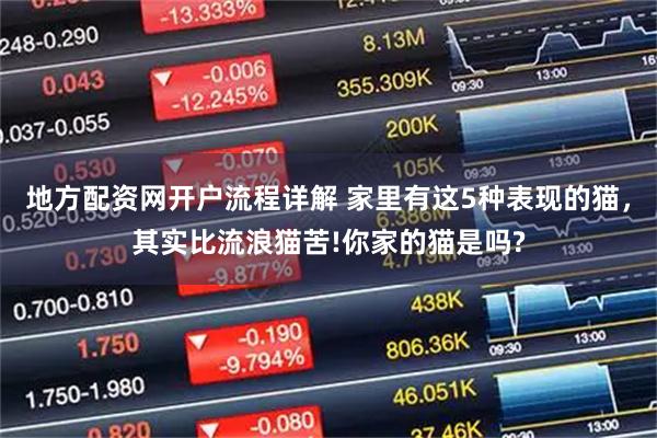 地方配资网开户流程详解 家里有这5种表现的猫，其实比流浪猫苦!你家的猫是吗?