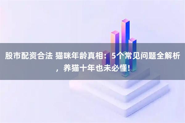 股市配资合法 猫咪年龄真相：5个常见问题全解析，养猫十年也未必懂!